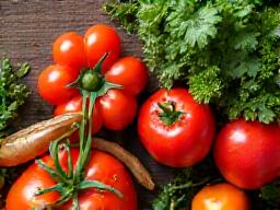 Certified organic vegetables from sustainable farms in Singapore